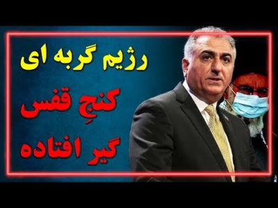 رژیم اکنون گربه ای است که کنج قفس گیر افتاده