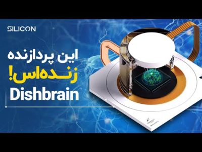 نسل بعدی پردازنده ها از مغز انسان ساخته میشن!
