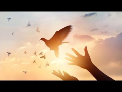 فریاد آزادی - امید طوطیان