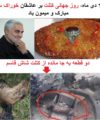 کتلت سلیمانی